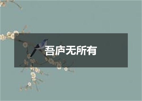 吾庐无所有