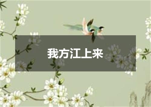 我方江上来