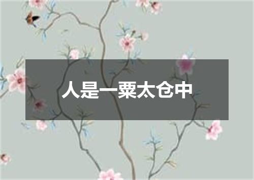 人是一粟太仓中