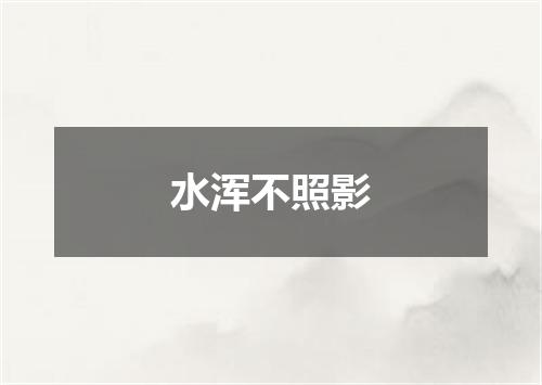 水浑不照影