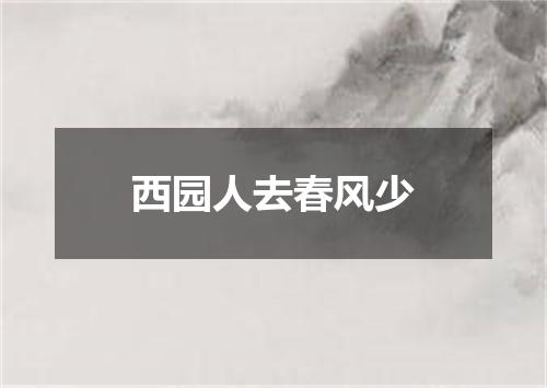 西园人去春风少