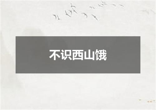不识西山饿