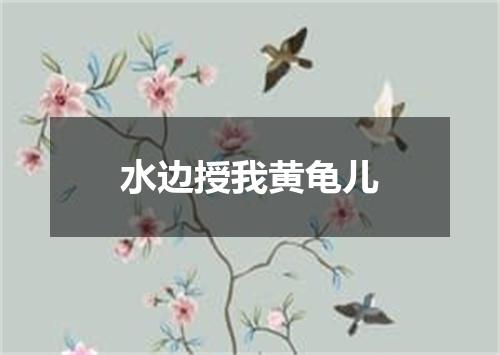 水边授我黄龟儿