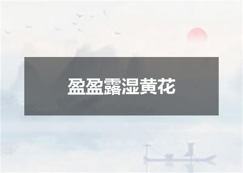 盈盈露湿黄花