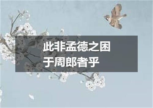 此非孟德之困于周郎者乎