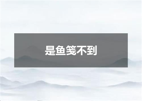 是鱼笺不到