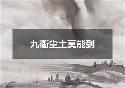 九衢尘土莫能到
