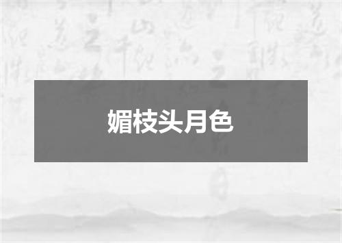 媚枝头月色
