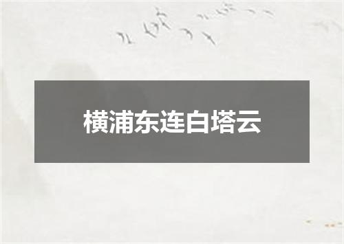 横浦东连白塔云