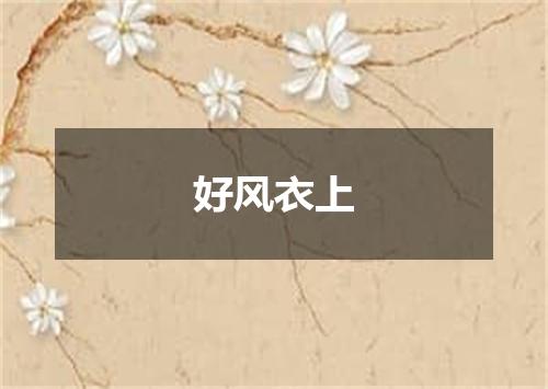 好风衣上