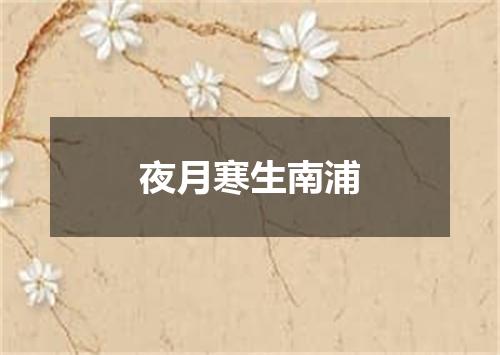 夜月寒生南浦