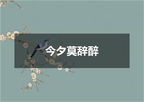 今夕莫辞醉