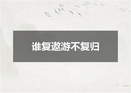 谁复遨游不复归