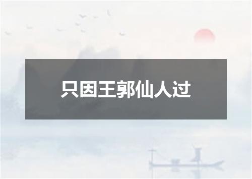 只因王郭仙人过