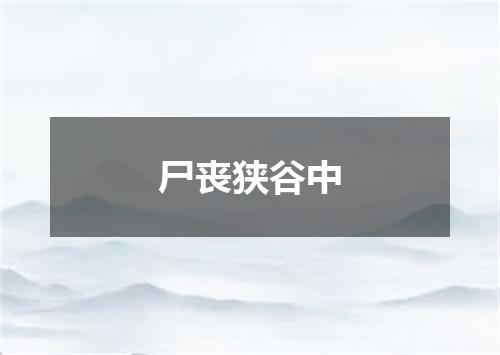 尸丧狭谷中