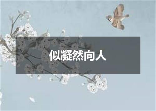 似凝然向人
