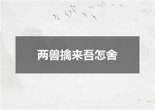 两兽擒来吾怎舍