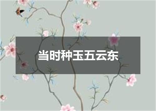 当时种玉五云东