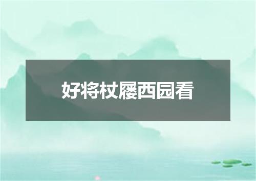 好将杖屦西园看