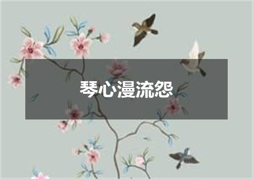 琴心漫流怨
