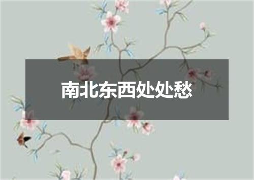 南北东西处处愁
