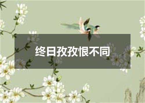 终日孜孜恨不同