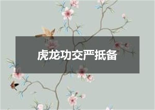 虎龙功交严抵备