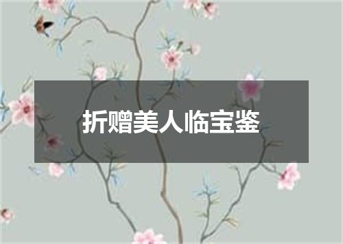 折赠美人临宝鉴