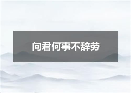 问君何事不辞劳