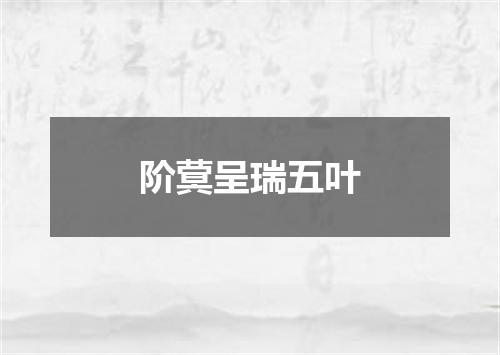 阶蓂呈瑞五叶