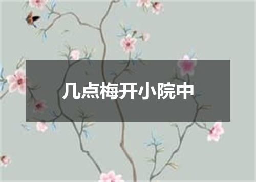 几点梅开小院中