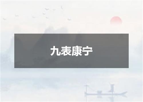九表康宁