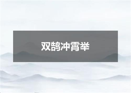 双鹄冲霄举