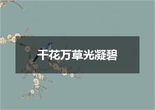 千花万草光凝碧