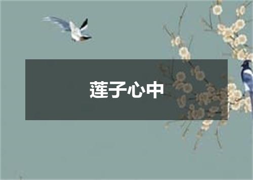 莲子心中