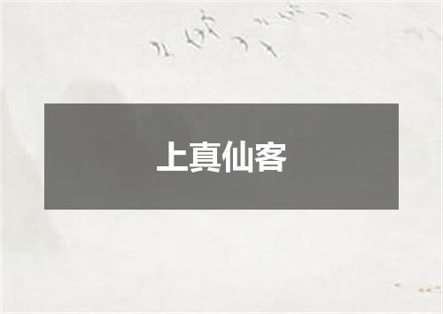 上真仙客