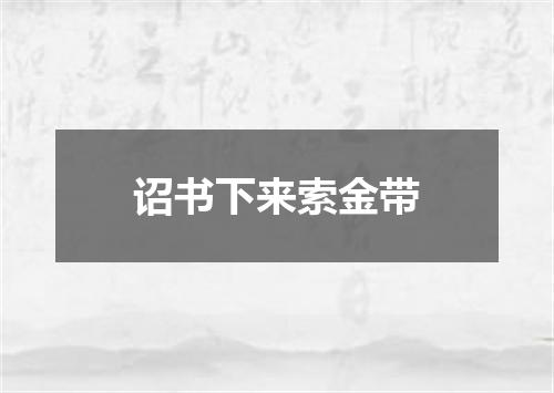 诏书下来索金带