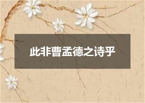 此非曹孟德之诗乎