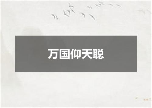万国仰天聪