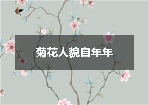 菊花人貌自年年