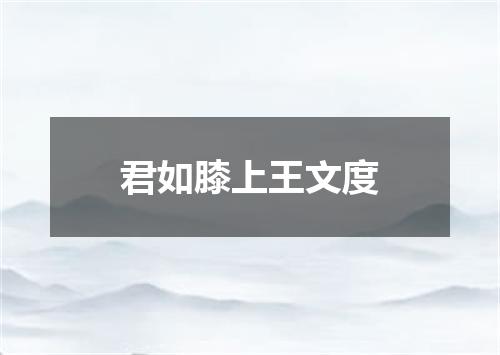君如膝上王文度