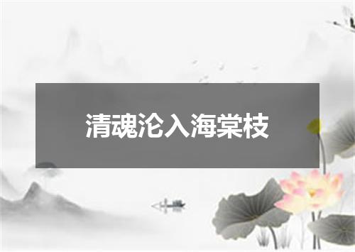 清魂沦入海棠枝