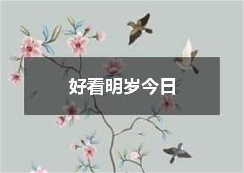 好看明岁今日