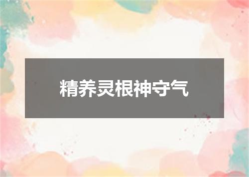 精养灵根神守气