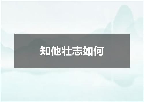 知他壮志如何
