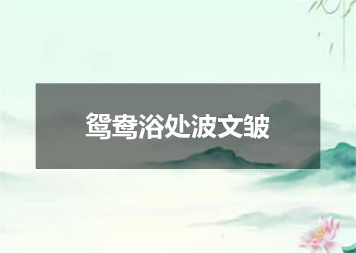 鸳鸯浴处波文皱