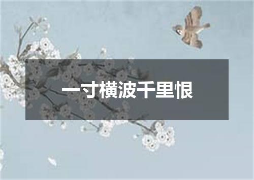 一寸横波千里恨