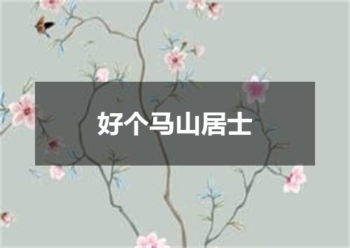 好个马山居士