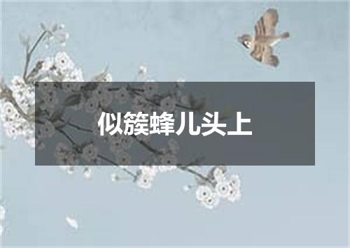 似簇蜂儿头上