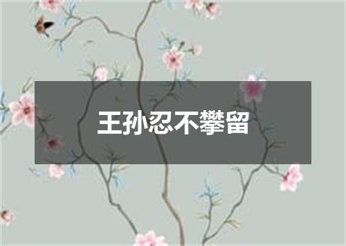王孙忍不攀留